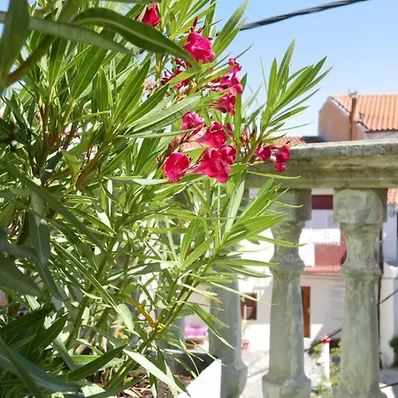 Potocina 21 Daire