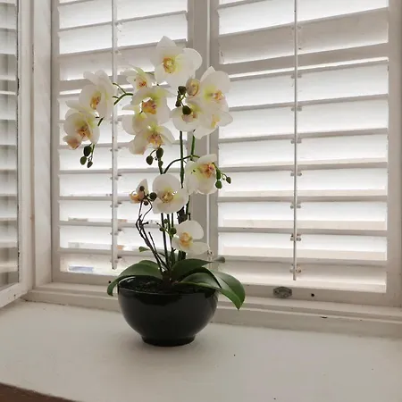 Potocina 21 Διαμέρισμα