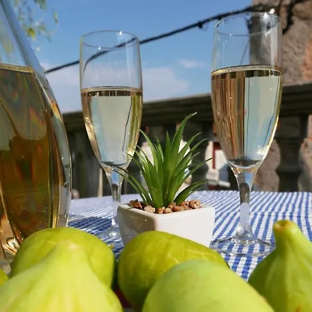 Potocina 21 Διαμέρισμα Vrbnik (Primorje-Gorski Kotar)