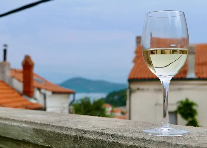 Apartment Potocina 21