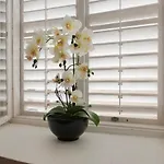 Potocina 21 아파트
