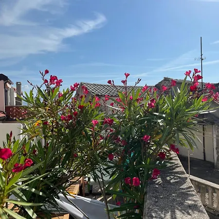 Potocina 21 아파트 비르브닉